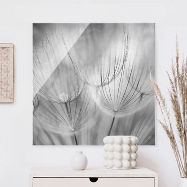 Glass print - Dandelion Macro Shot In Black And White - Square