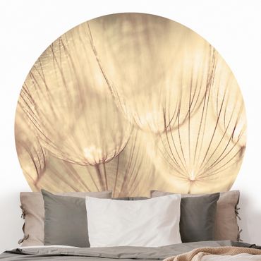 Self-adhesive round wallpaper - Dandelions Close-Up In Cozy Sepia Tones