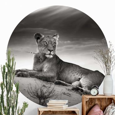 Self-adhesive round wallpaper - Resting Lion