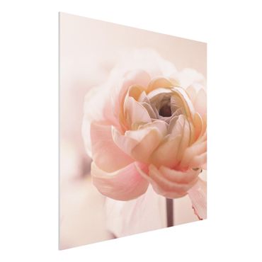 Print on forex - Focus On Light Pink Flower - Square 1:1