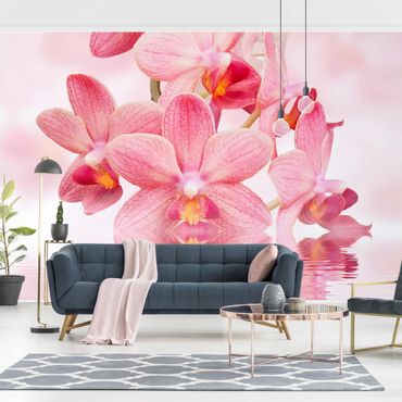 Wallpaper - Light Pink Orchid On Water