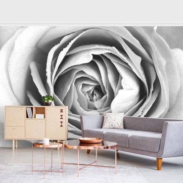 Wallpaper - Pink Rose Black And White