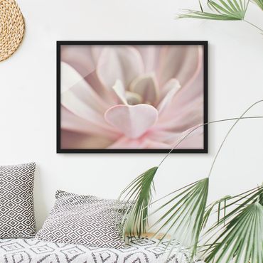 Framed poster - Light Pink Succulent Flower