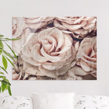 Glass print - Roses Sepia With Water Drops