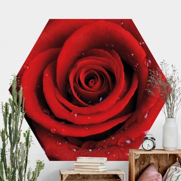 Self-adhesive hexagonal pattern wallpaper - Red Rose With Water Drops