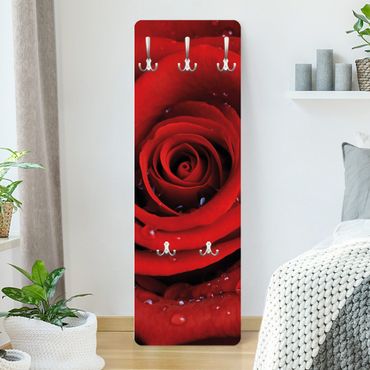 Coat rack - Red Rose With Water Drops