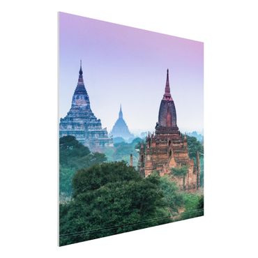 Print on forex - Temple Grounds In Bagan - Square 1:1