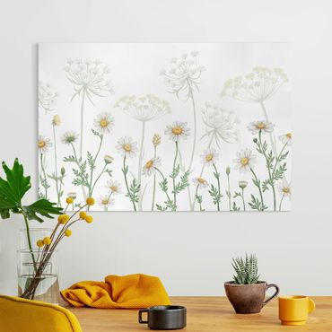 Print on canvas - Achillea and daisy - Landscape format 3:2