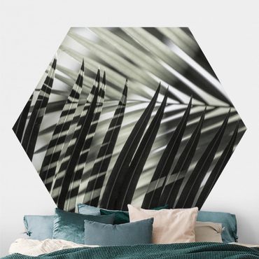 Self-adhesive hexagonal pattern wallpaper - Interplay Of Shaddow And Light On Palm Fronds
