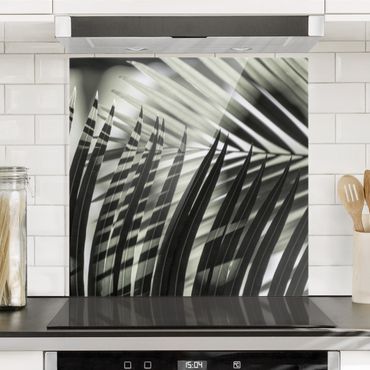 Splashback - Interplay Of Shaddow And Light On Palm Fronds - Square 1:1