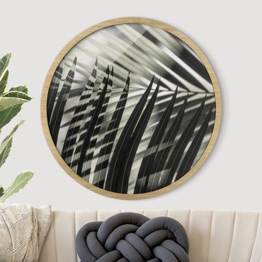 Circular framed print - Interplay Of Shaddow And Light On Palm Fronds
