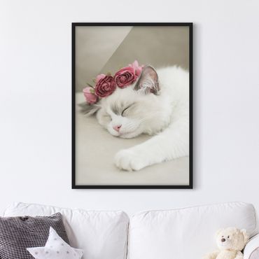 Framed poster - Sleeping Cat with Roses