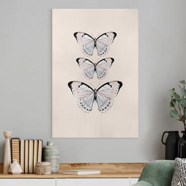 Canvas print - Butterfly On Beige