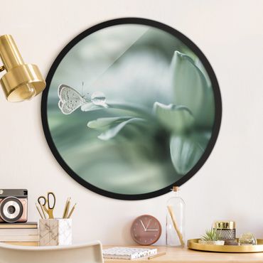 Circular framed print - Butterfly And Dewtrops In Pastel Green