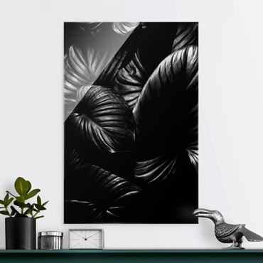 Glass print - Black And White Botany Hosta - Portrait format