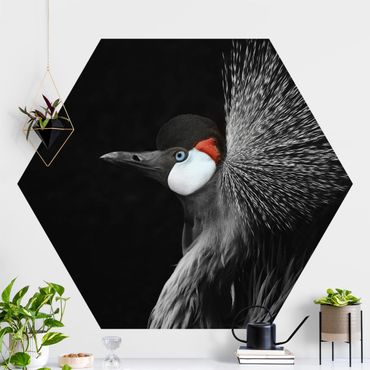 Self-adhesive hexagonal pattern wallpaper - Black Crowned Crane