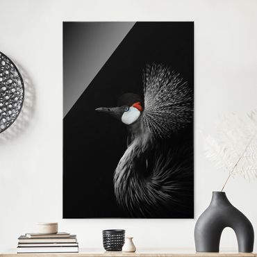 Glass print - Black Crowned Crane