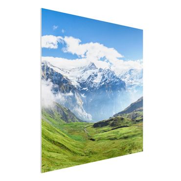 Print on forex - Swiss Alpine Panorama - Square 1:1