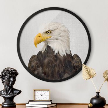 Circular framed print - Sea Eagle Socrates