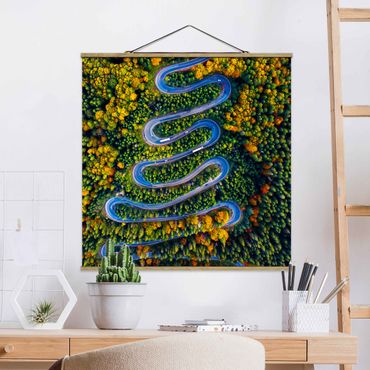 Fabric print with poster hangers - Serpentine In The Transylvanian Woods - Square 1:1
