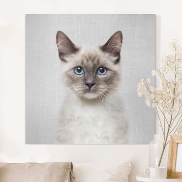 Canvas print - Siamese Cat Sibylle - Square 1:1