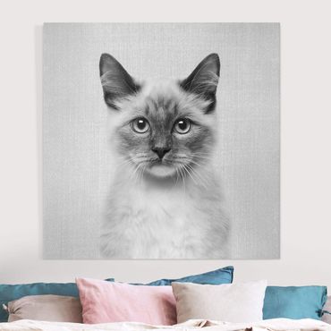 Canvas print - Siamese Cat Sibylle Black And White - Square 1:1