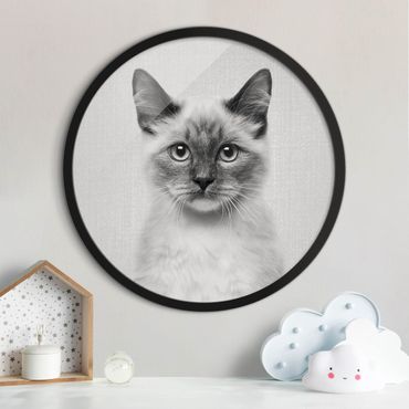 Circular framed print - Siamese Cat Sibylle Black And White