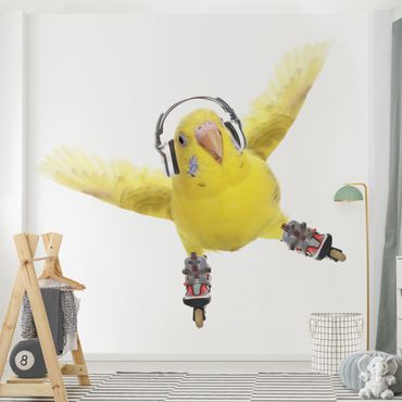 Wallpaper - Skate Parakeet