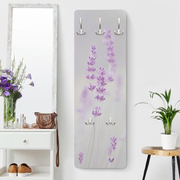 Coat rack modern - Summer In A Field Of Lavender