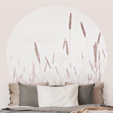 Self-adhesive round wallpaper - Summerly Reed Grass