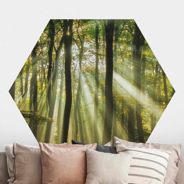Self-adhesive hexagonal pattern wallpaper - Sunny Day In The Forest
