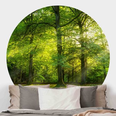 Self-adhesive round wallpaper - Walk In The Woods