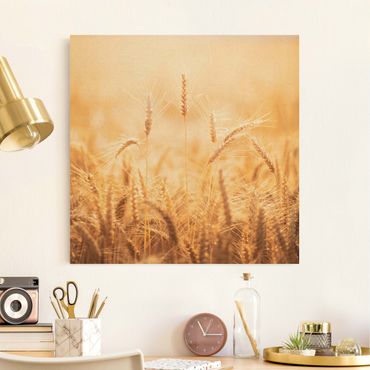 Natural canvas print - Radiant Ears - Square 1:1