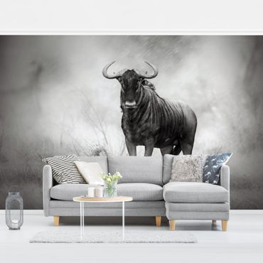Wallpaper - Staring Wildebeest