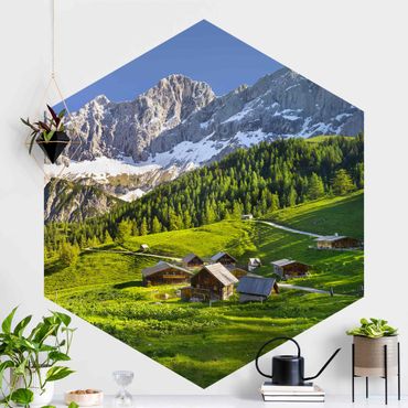 Self-adhesive hexagonal pattern wallpaper - Styria Alpine Meadow
