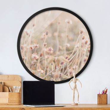 Circular framed print - Flowering Meadow In the Sun