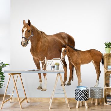 Wallpaper - Mare & Foal