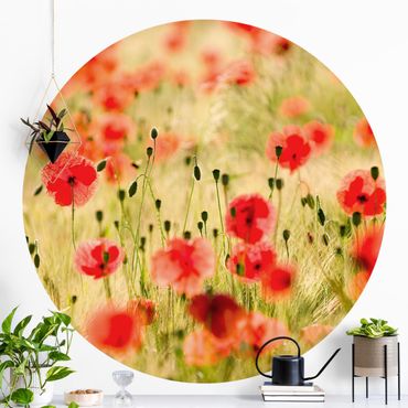 Self-adhesive round wallpaper kitchen - Summer Poppies