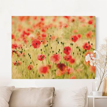 Natural canvas print - Summer Poppies - Landscape format 4:3