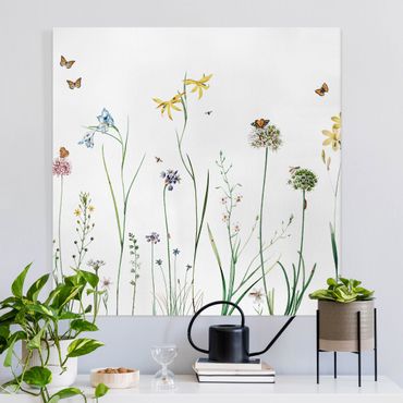Print on canvas - Dancing butterflies on wildflowers - Square 1:1