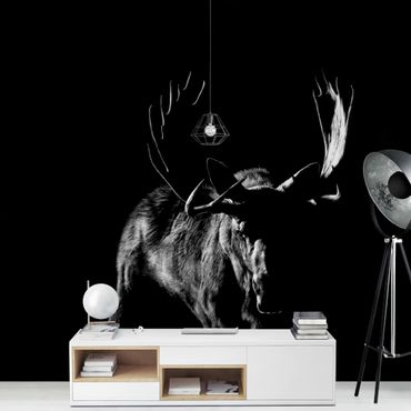 Wallpaper - Bull In The Dark
