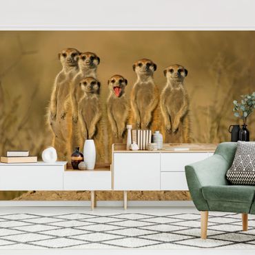 Wallpaper - Meerkat Family