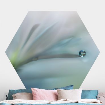 Self-adhesive hexagonal pattern wallpaper - Dewdrops On White Blossom
