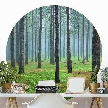 Self-adhesive round wallpaper forest - Deep Forest With Pine Trees On La Palma