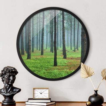 Circular framed print - Deep Forest With Pine Trees On La Palma