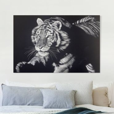 Print on canvas - Tiger In The Sunlight On Black - Landscape format 3x2