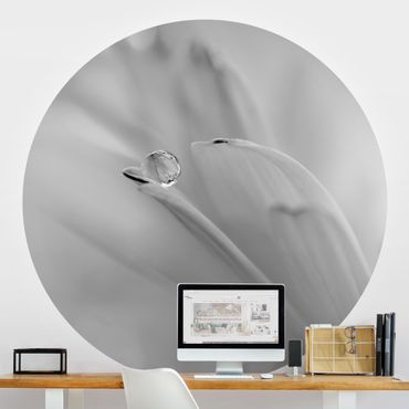 Self-adhesive round wallpaper - Touch Me Softly Black And White
