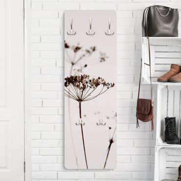 Coat rack modern - Dried Flower And Shadows
