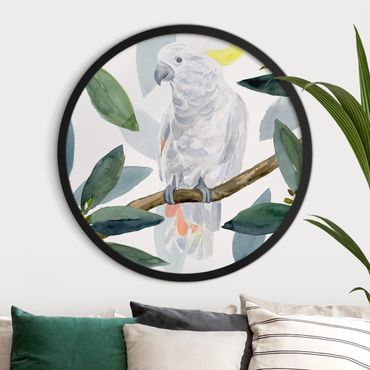 Circular framed print - Tropical Cockatoo I