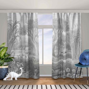 Curtain - Tropical Copperplate Engraving Garden With Pond In Grey